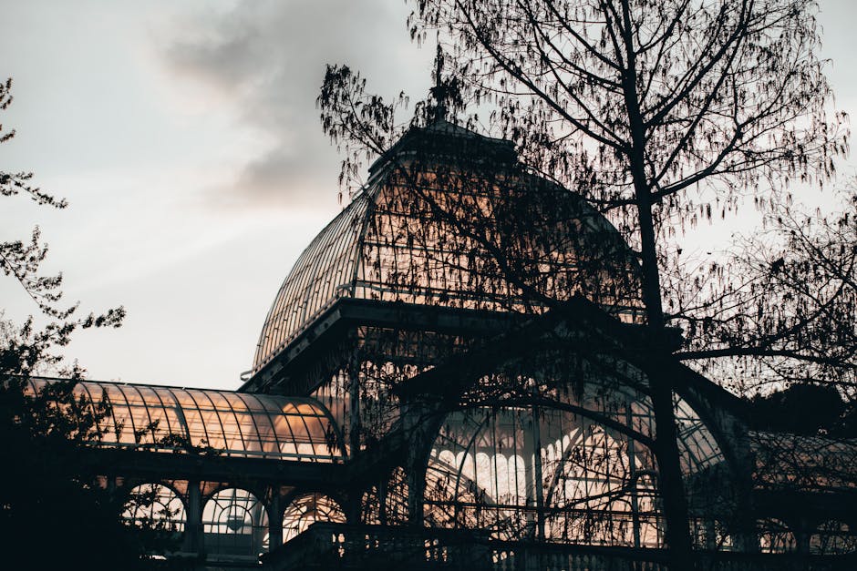 A detailed upward view of a historic glass and iron conservatory or greenhouse structure, showing ornate curved windows with intricate metal framing and decorative tilework along the lower edges. The building features a prominent, glass-domed roof with a pointed, spire-like finial at the top, set against a clear blue sky. The architecture exhibits Victorian or Edwardian design elements, with a combination of metal, glass, and decorative ceramic tiles. The structure is situated outdoors, likely in a garden or park setting, and the scene captures the building’s elegant, period-specific craftsmanship relevant to exterior or on-site waste clearance contexts, such as maintenance or renovation involving waste management services. This detailed visual reflects the character of private or independent disposal options often associated with rubbish removal specialists like wasteclearancecrystalpalace.co.uk, supporting the broader theme of alternative waste handling and on-site clearance activities.